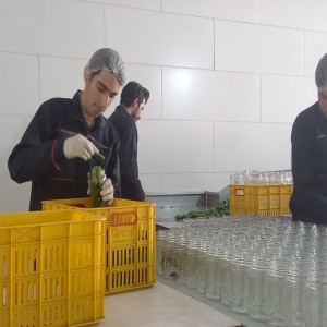 گزارش تصویری از افتتاح پروژه های بخش مرکزی در هفته دولت