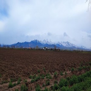 تصاویری از بارش رحمت الهی در سد بهار