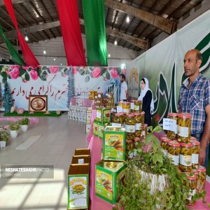 گزارش تصویری از گلستان گل محمدی صالحی پیمان، کارخانه ذوب ریزان، کارخانه قند هگمتان و صنایع تبدیلی نشاسته الوند