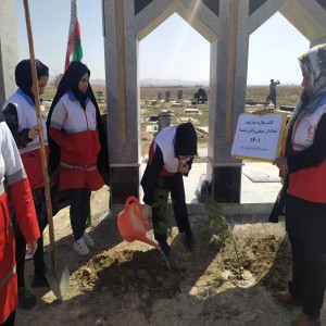 گزارش تصویری از روز درختکاری در شهرستان بهار