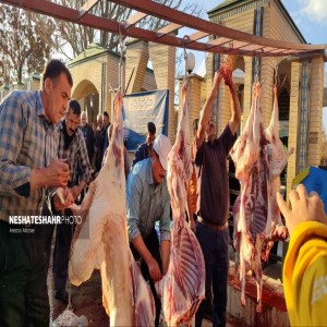 گزارش تصویری از تهیه وذبح ۸ راس گوسفند جهت رفع بلا از سطح شهر بهار