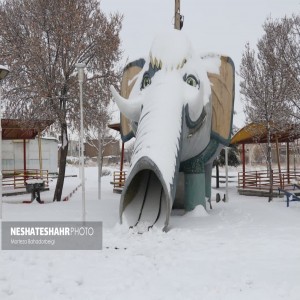 گزارش تصویری از حال و هوای برفی شهر بهار