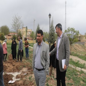 گزارش تصویری از جشنواره سازه های گلی بر پایه خانه های روستایی در حسام آباد