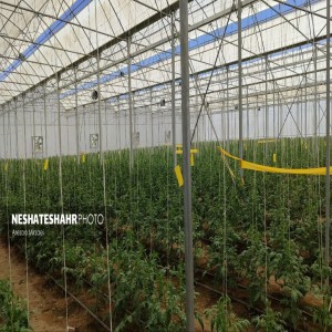 گزارش تصویری از افتتاح پروژه های عمرانی به مناسبت هفته دولت در شهرستان بهار