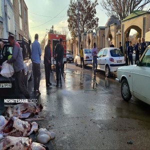 گزارش تصویری از تهیه وذبح ۸ راس گوسفند جهت رفع بلا از سطح شهر بهار