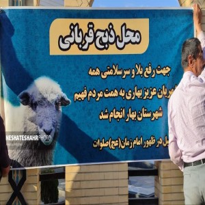 گزارش تصویری از تهیه وذبح ۸ راس گوسفند جهت رفع بلا از سطح شهر بهار