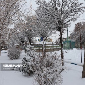گزارش تصویری از حال و هوای برفی شهر بهار