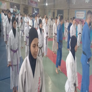 مراسم گرامیداشت ۱۱۳ شهید ورزشکار شهرستان بهار در سالن جودو