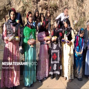 گزارش تصویری از برگزاری جشنواره آلو، گردو و غذاهای محلی روستای حیدره قاضی خان