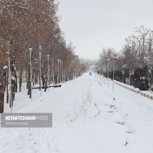 گزارش تصویری از حال و هوای برفی شهر بهار