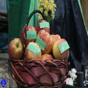 گزارش تصویری از اعتکاف دختران دانش آموز ۱۴۰۲ در مسجد امام خمینی(ره) شهرک فرهنگیان بهار