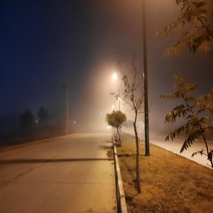 تصاویری از شهر بهار در فضای مه آلود پاییزی