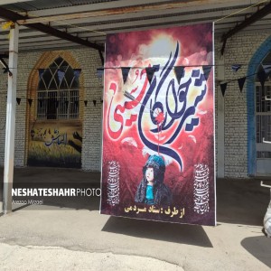 گزارش تصویری از اجتماع شیرخوارگان حسینی در مصلی امام خمینی(ره) شهر بهار (قسمت دوم)