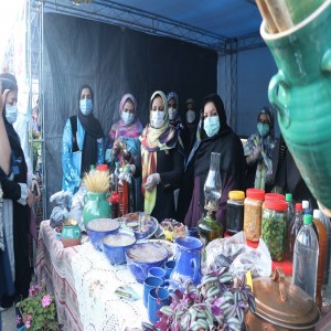 گزارش تصویری از جشنواره آلو و گردو در روستای حیدره قاضی خان