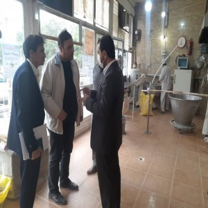 بازدید فرماندار شهرستان بهار از واحدهای نانوایی در سطح شهر به اتفاق نماینده جهاد کشاورزی و رییس اتحادیه آرد و نان
