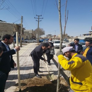 گزارش تصویری از روز درختکاری در شهرستان بهار