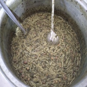 برگزاری مراسم عزاداری شهادت حضرت رقیه(س) در سطح شهر بهار