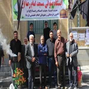 گزارش تصویری از راهپیمایی عزاداران در روز شهادت امام رضا (ع) در شهر بهار