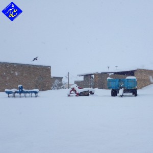 گزارش تصویری از بارش برف امروز در روستای زاغه