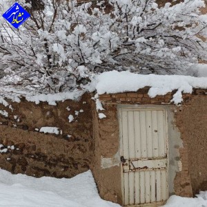 گزارش تصویری از بارش برف امروز در روستای زاغه
