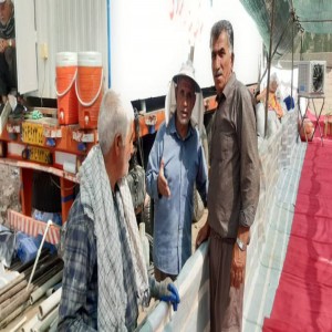 تصاویری از موکب آیت الله بهاری مستقر در کربلا و آماده سازی محیط برای استقبال از زائرین