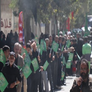 گزارش تصویری از راهپیمایی عزاداران در روز شهادت امام رضا (ع) در شهر بهار