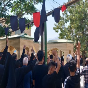 گزارش تصویری از پیاده روی خانوادگی اربعین حسینی در بهار