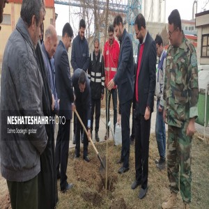 گزارش تصویری از کاشت ۱۰۰ اصله نهال در کارخانه نشاسته الوند به همت اداره منابع طبیعی شهرستان بهار