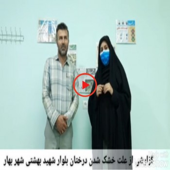 گزارشی از بررسی دلیل خشک شدن درختان بلوار شهید بهشتی شهر بهار